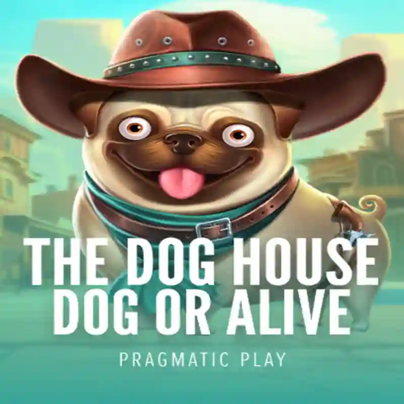 Dog House